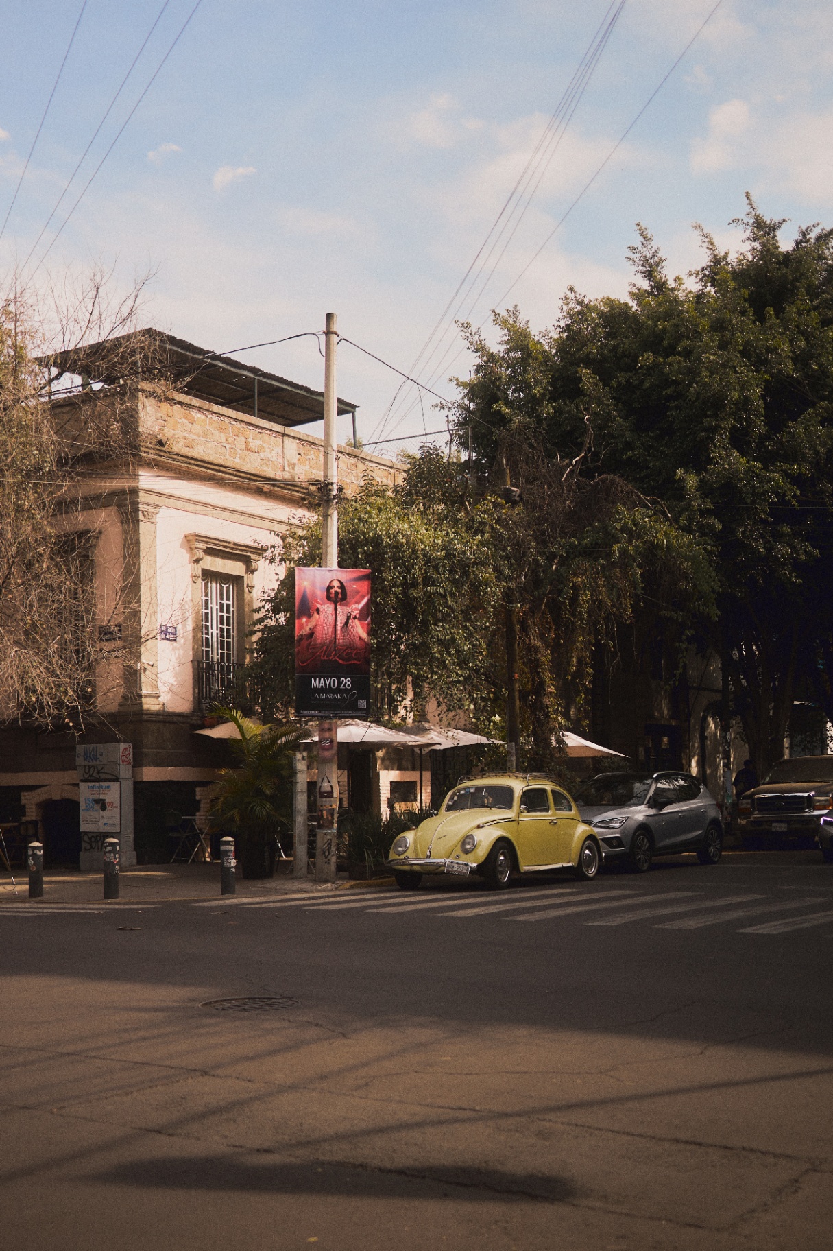 Shane D'Costa — Photography & Visual Storytelling